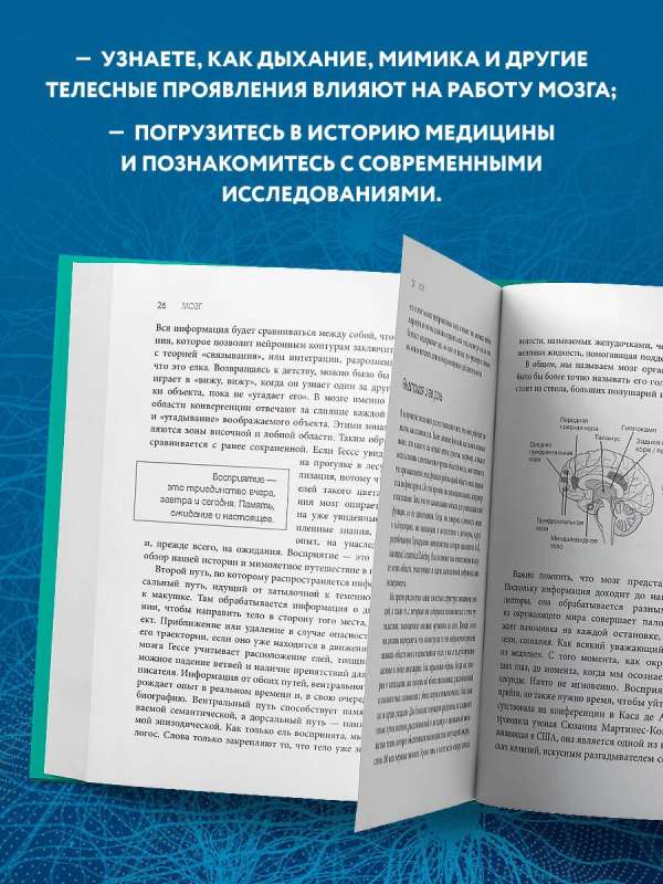 Телесный интеллект. Парадоксальное открытие о том, как тело определяет наши эмоции, поведение и темперамент