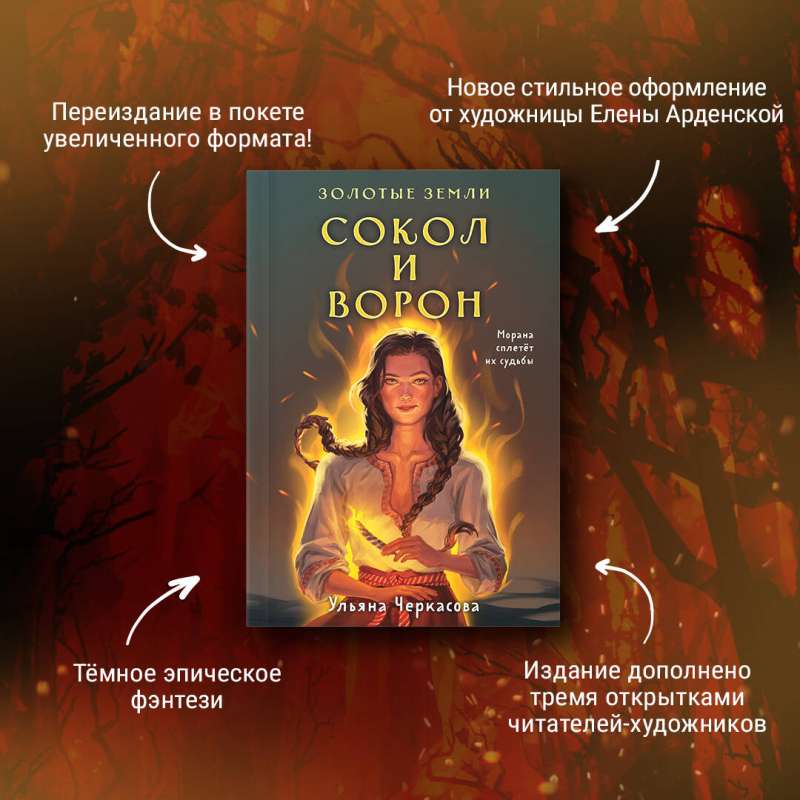 Комплект: Золотые Земли (книга Сокол и ворон+тетрадь)