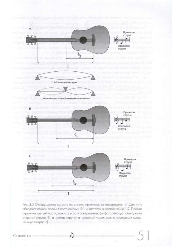 Musical Instinct. Why We Love Music New Design