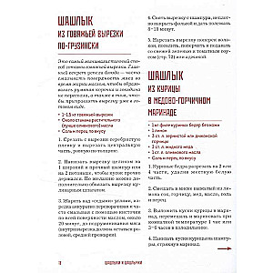 Кебабы. Техника и секреты приготовления. 60 рецептов шиш-кебабов, дёнер-кебабов, люля-кебабов