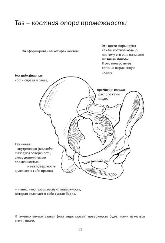 Книга упражнений для прокачки мышц тазового дна. Французская система полного физического восстановления для женщин