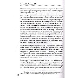 Прямо в сердце. Как главный символ любви превратился в главный орган кровообращения