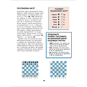 Шахматы. Развивающий учебник для детей и родителей
