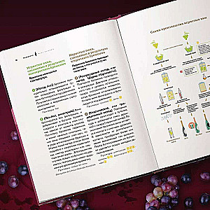 Виномания. Наглядный путеводитель по винному миру