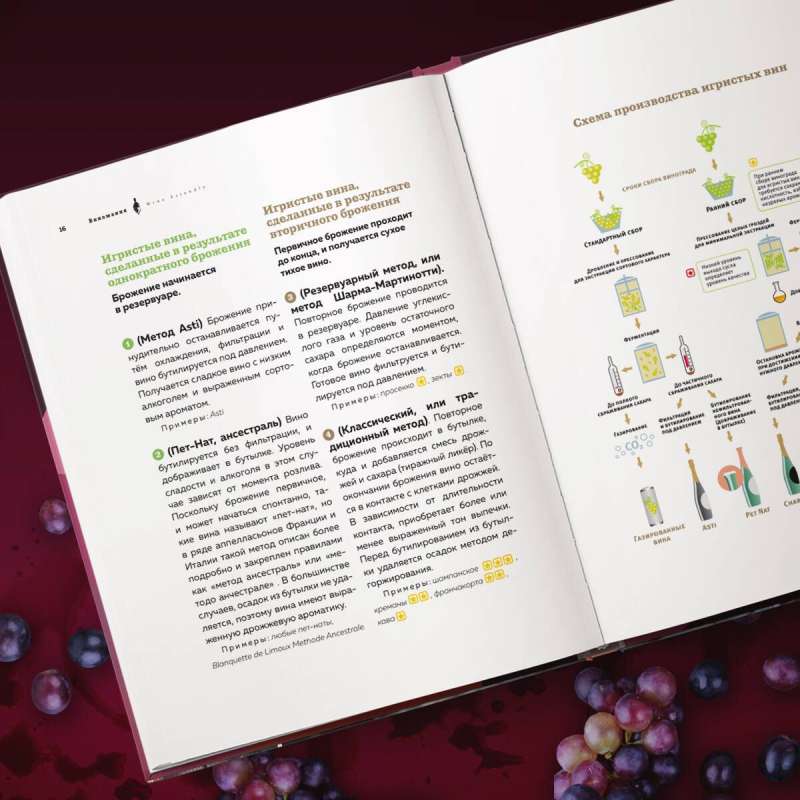 Виномания. Наглядный путеводитель по винному миру