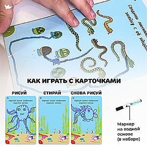 Соображалки. Игры и головоломки 4-6 лет