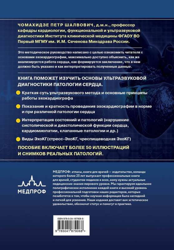 Эхокардиография для начинающих. Суть гемодинамических нарушений, позиции для анализа, определение тяжести порока