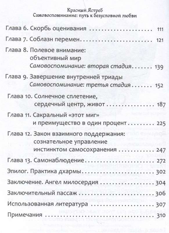 Самовоспоминание: путь к безусловной любви. Руководство пользователя 