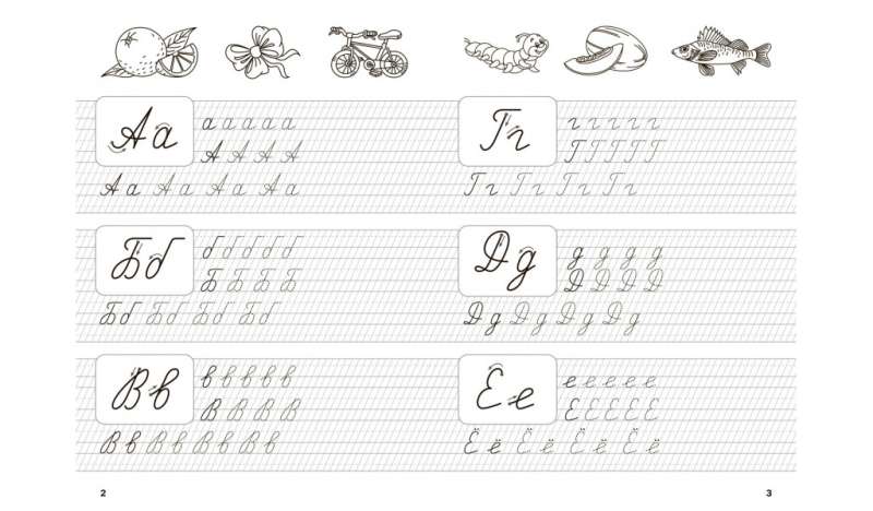 Тренажёр дошкольника. Формируем красивый почерк.