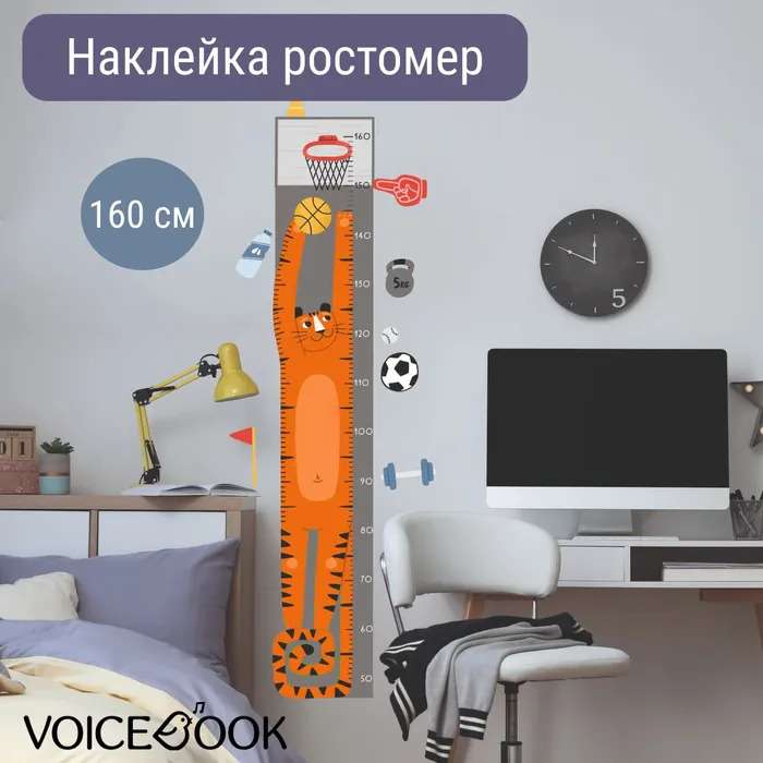 Ростомер Баскетбол