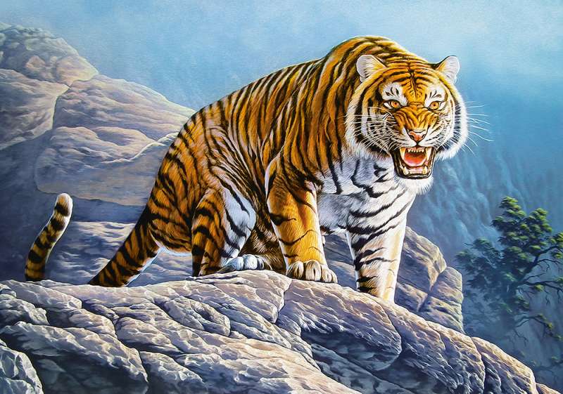 Пазл Tiger on the Rocks 500 дет.