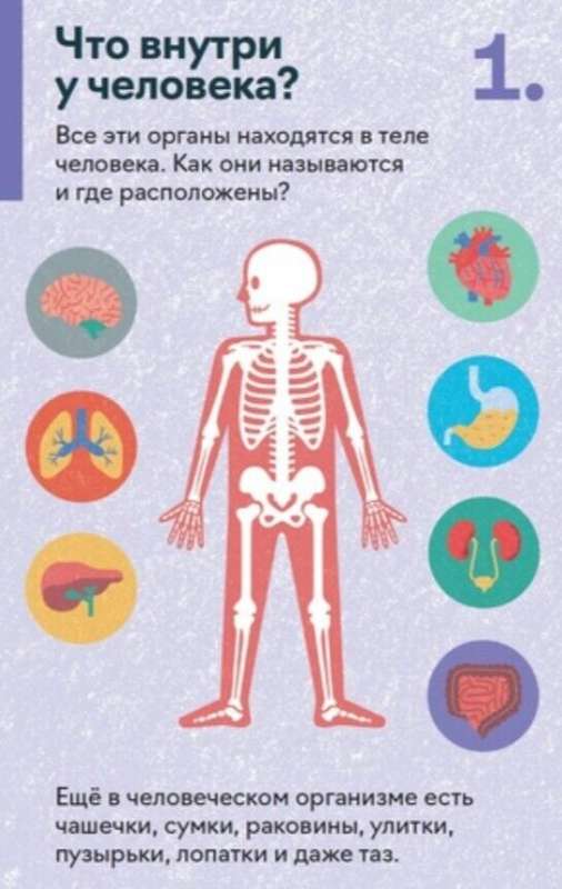 Набор карточек. Как устроен человек 30 карточек