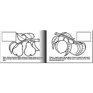 Раскраска с наклейками. Фрукты