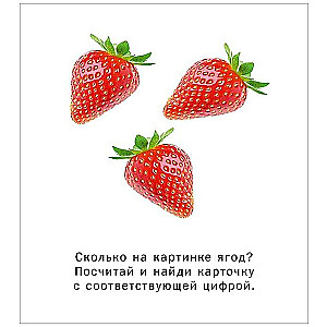 Набор карточек 62 развивающие карточки. Логика и счёт