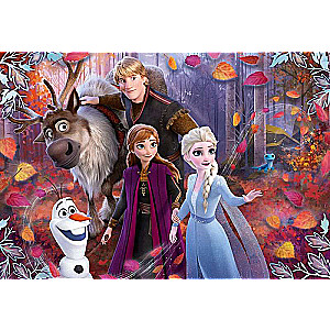 Пазл напольный 40 CLEMENTONI Frozen 2