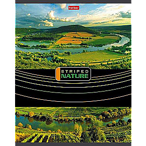 Тетрадь 96л А5 ЛИНИЯ Полосатый мир