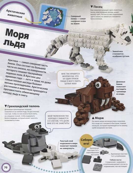 Атлас животных (+ набор LEGO из 60 элементов)