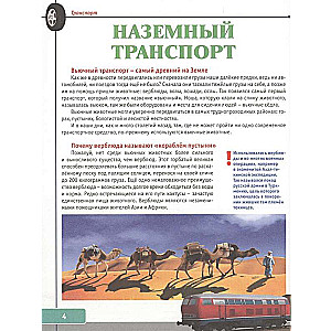 Транспорт