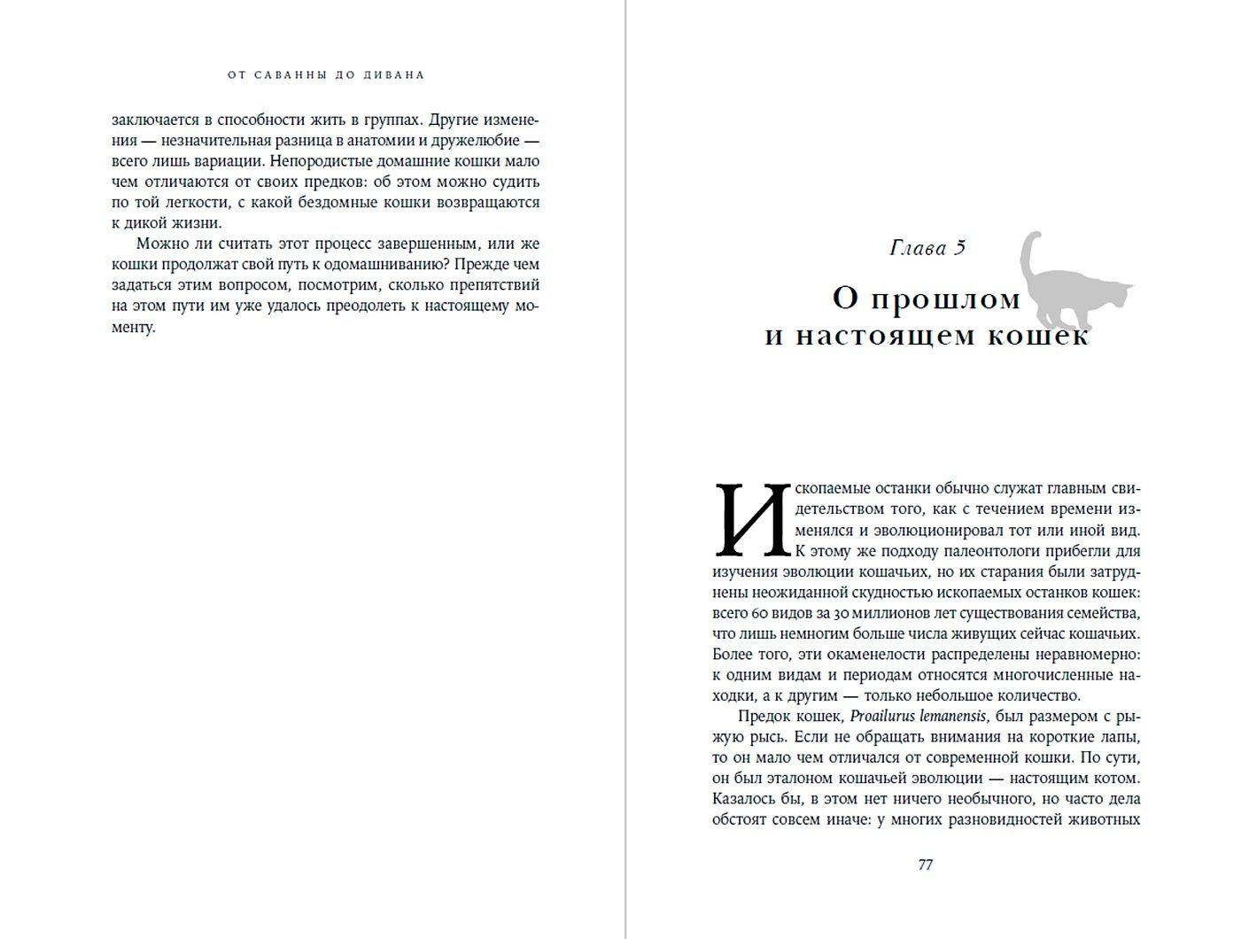 От саванны до дивана: Эволюционная история кошек