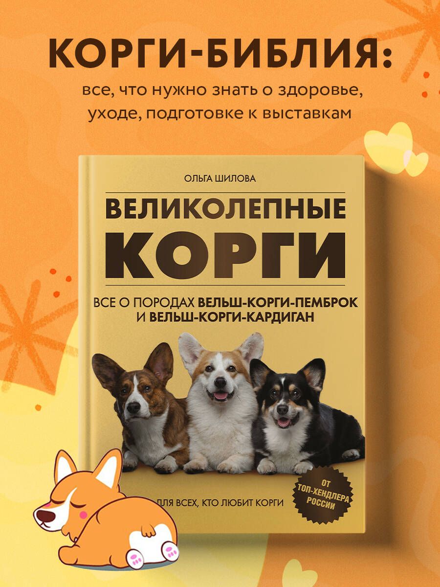 Великолепные корги. Все о породах вельш-корги-пемброк и вельш-корги-кардиган