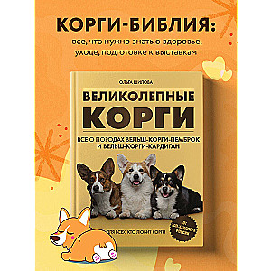 Великолепные корги. Все о породах вельш-корги-пемброк и вельш-корги-кардиган