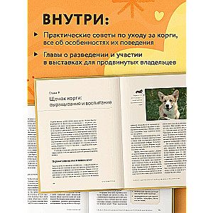 Великолепные корги. Все о породах вельш-корги-пемброк и вельш-корги-кардиган