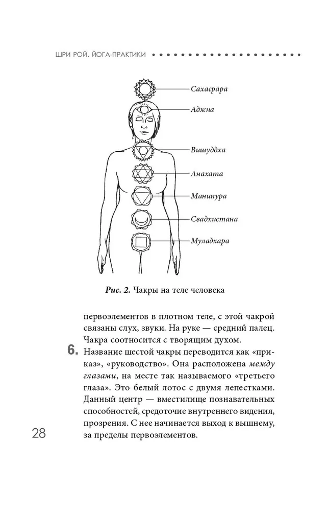 Йога-практики. Мудры, мантры, медитации