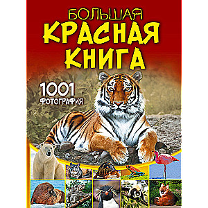 Большая красная книга. 1001 фотография