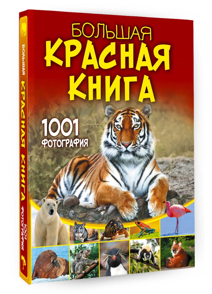 Большая красная книга. 1001 фотография