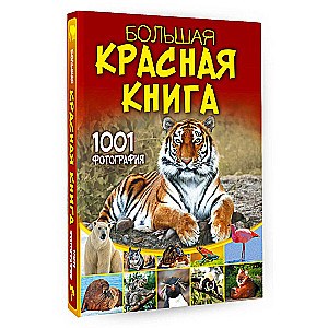 Большая красная книга. 1001 фотография