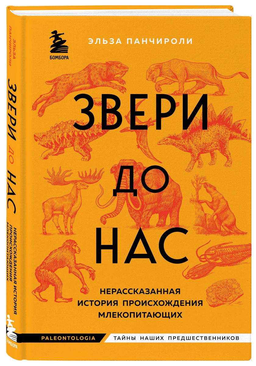 Звери до нас. Нерассказанная история происхождения млекопитающих