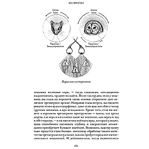 ЕВА. История эволюции женского тела. История человечества