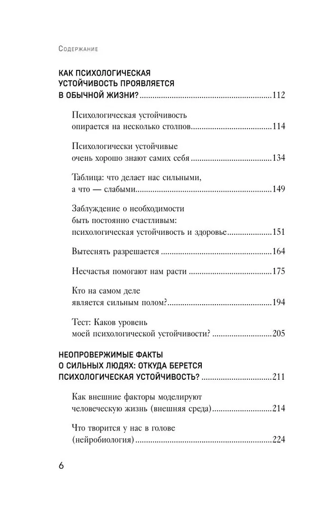 Невидимая опора. Книга о психологической устойчивости в условиях постоянного стресса и выгорания