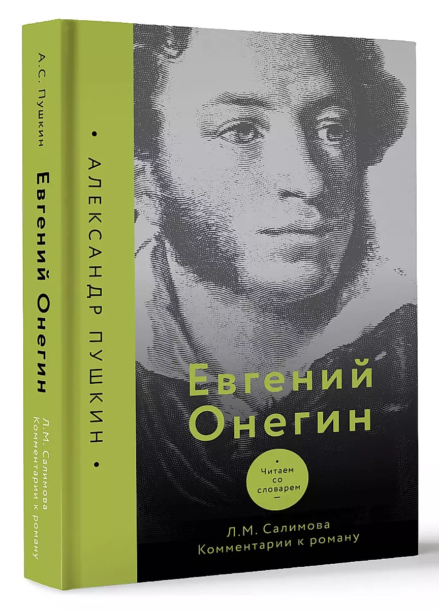 Евгений Онегин. Читаем со словарем. Комментарии к роману