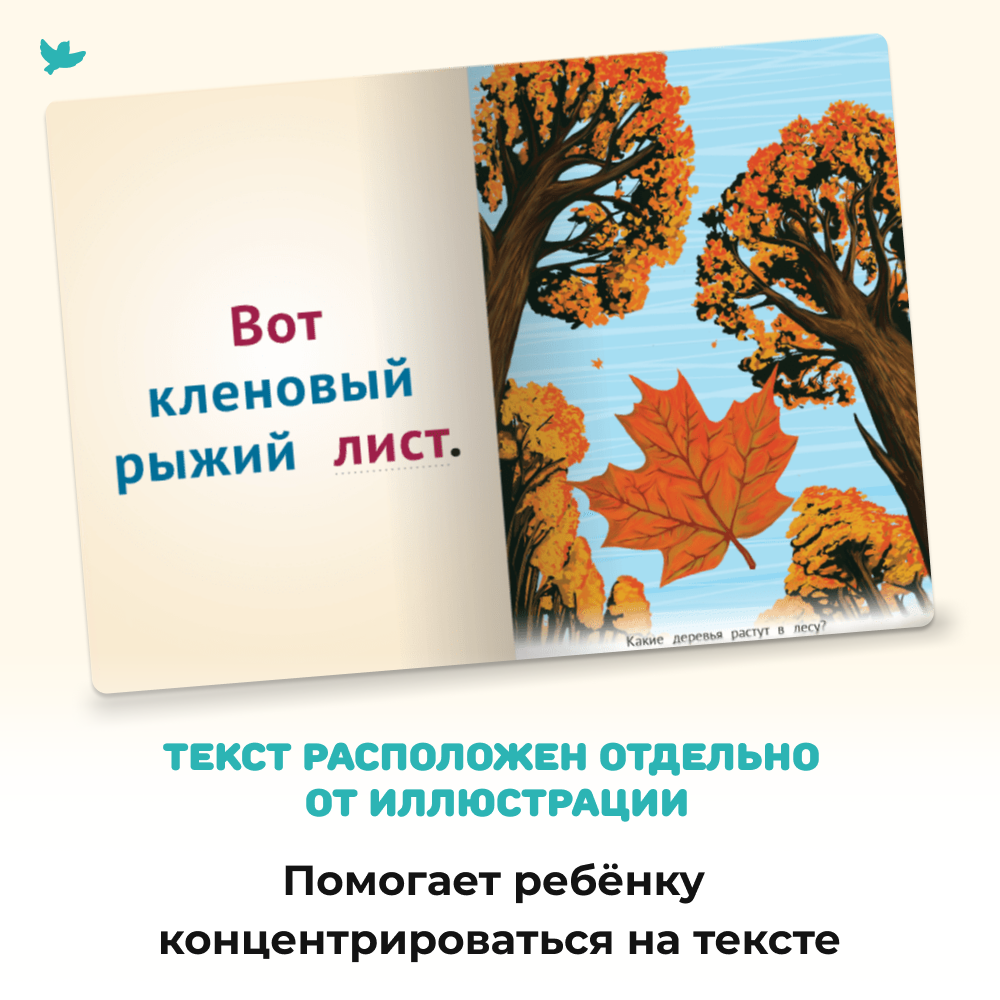 Книжная разминка Слон