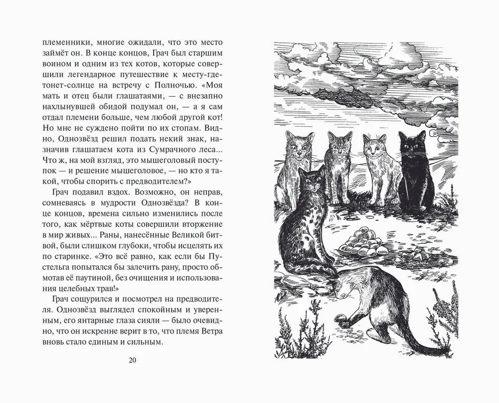 Испытание Грача. Книга 1. Тени прошлого