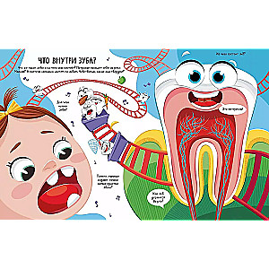 Всё о зубах. Открывай и изучай!