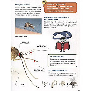 Все о насекомых малышам