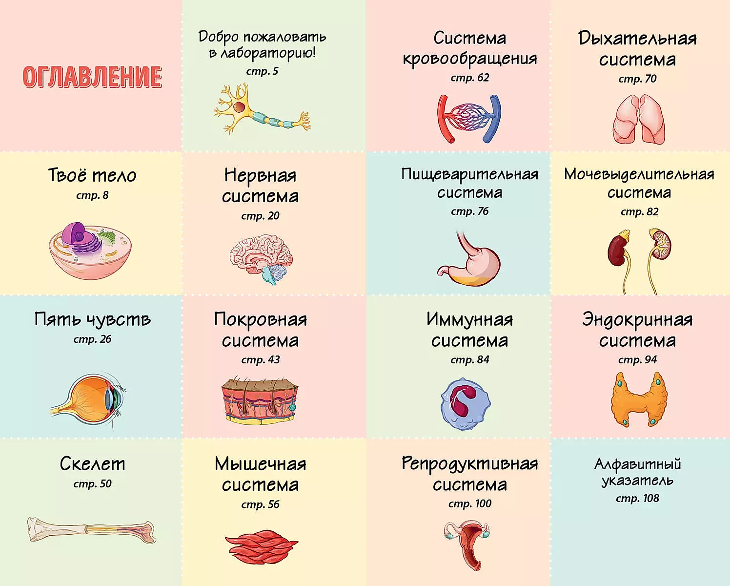 Тело человека. Домашняя лаборатория для детей