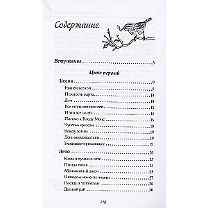 Сны из детства. Шелковая книга о счастье-бабочке, теплом доме и волшебном мостике, ведущем к гармонии