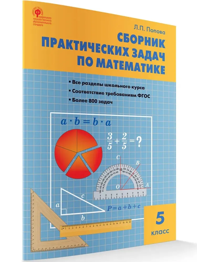 Математика. 5 класс. Сборник практических задач