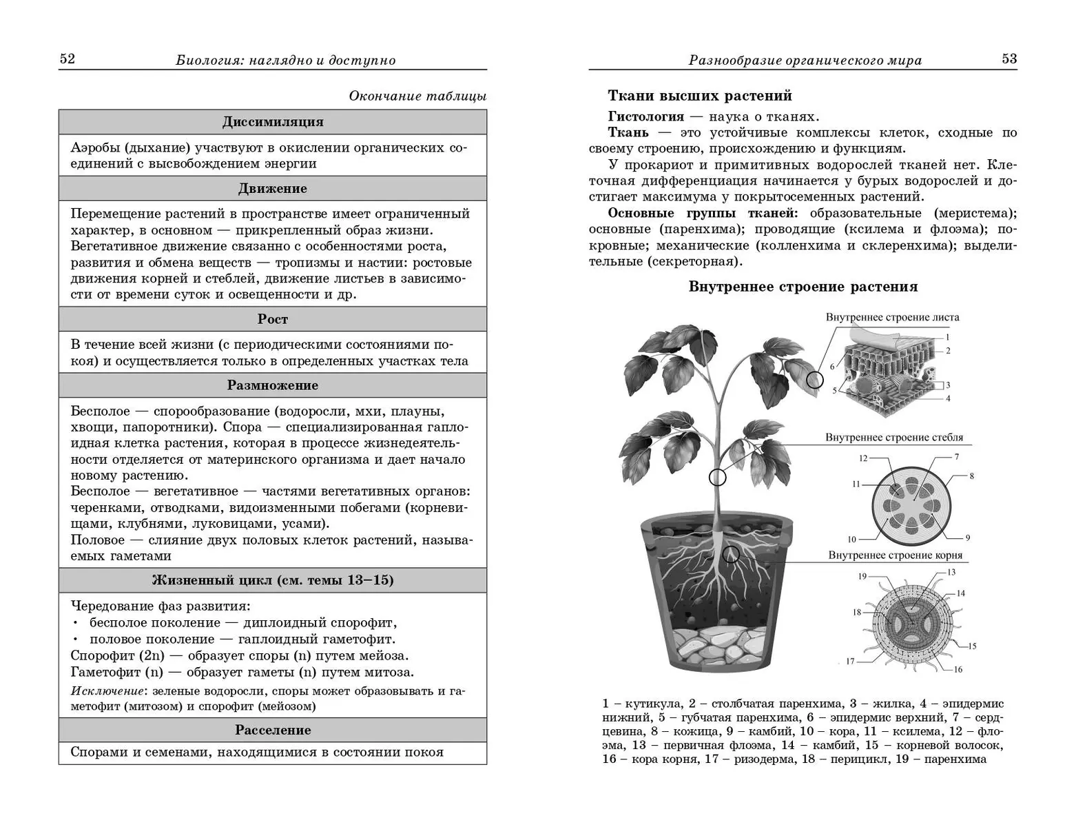 Биология: наглядно и доступно