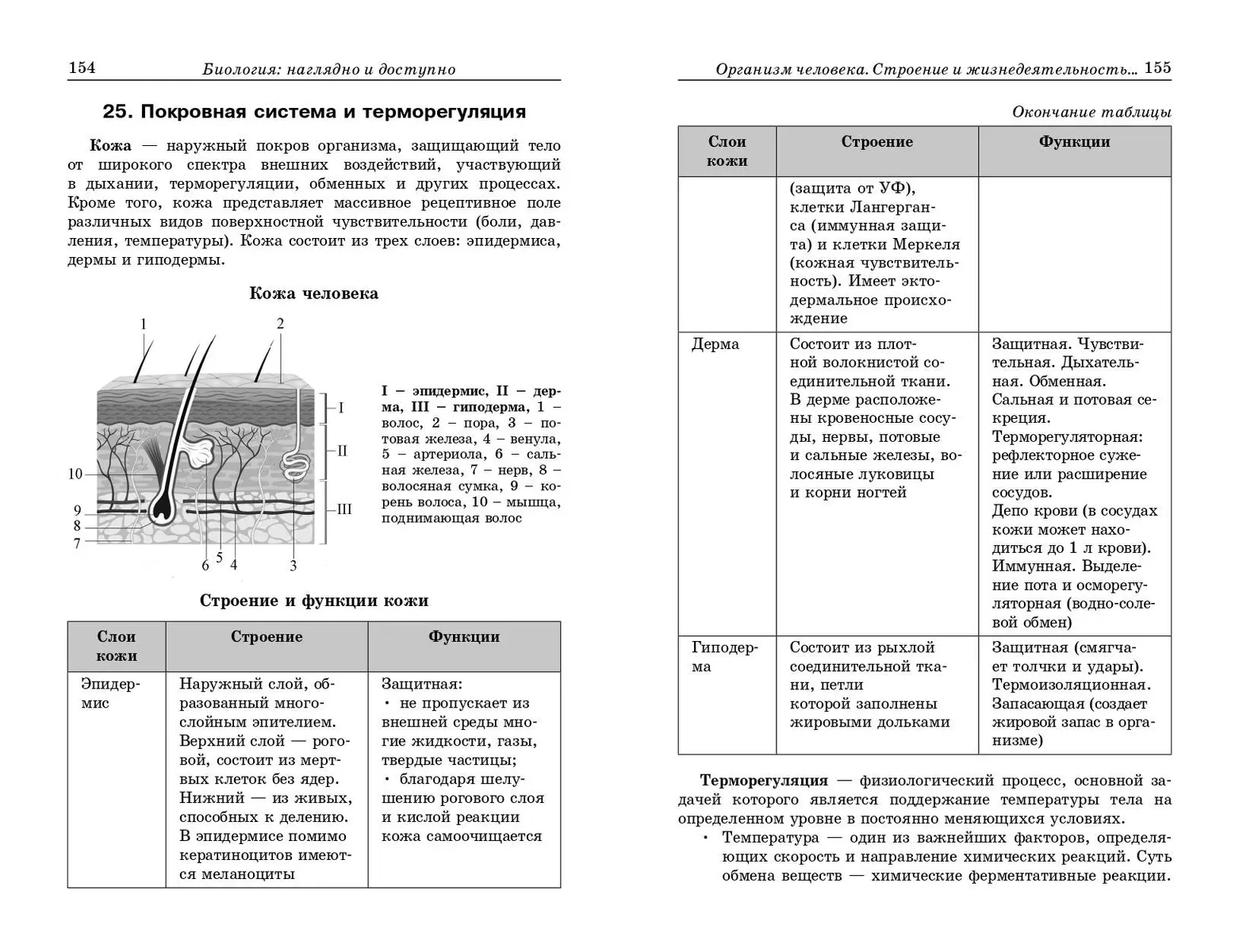 Биология: наглядно и доступно