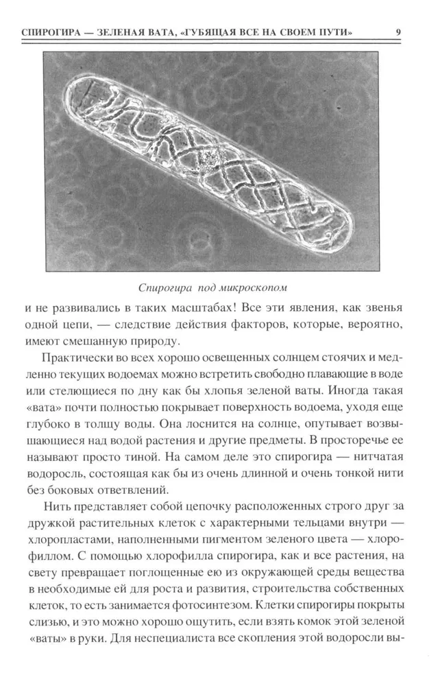 100 великих тайн из жизни растений