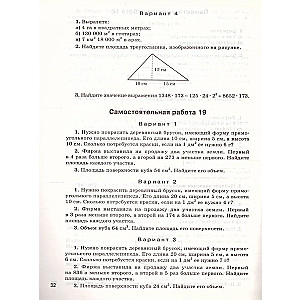 Математика. 5 класс. Самостоятельные и контрольные работы