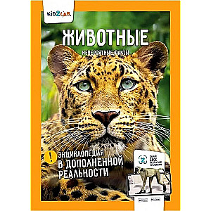 Динозавры. Мировой океан. Насекомые и паукообразные. Животные (комплект)