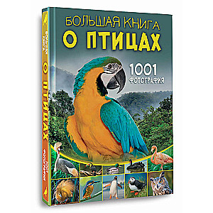 Большая книга о птицах. 1001 фотография