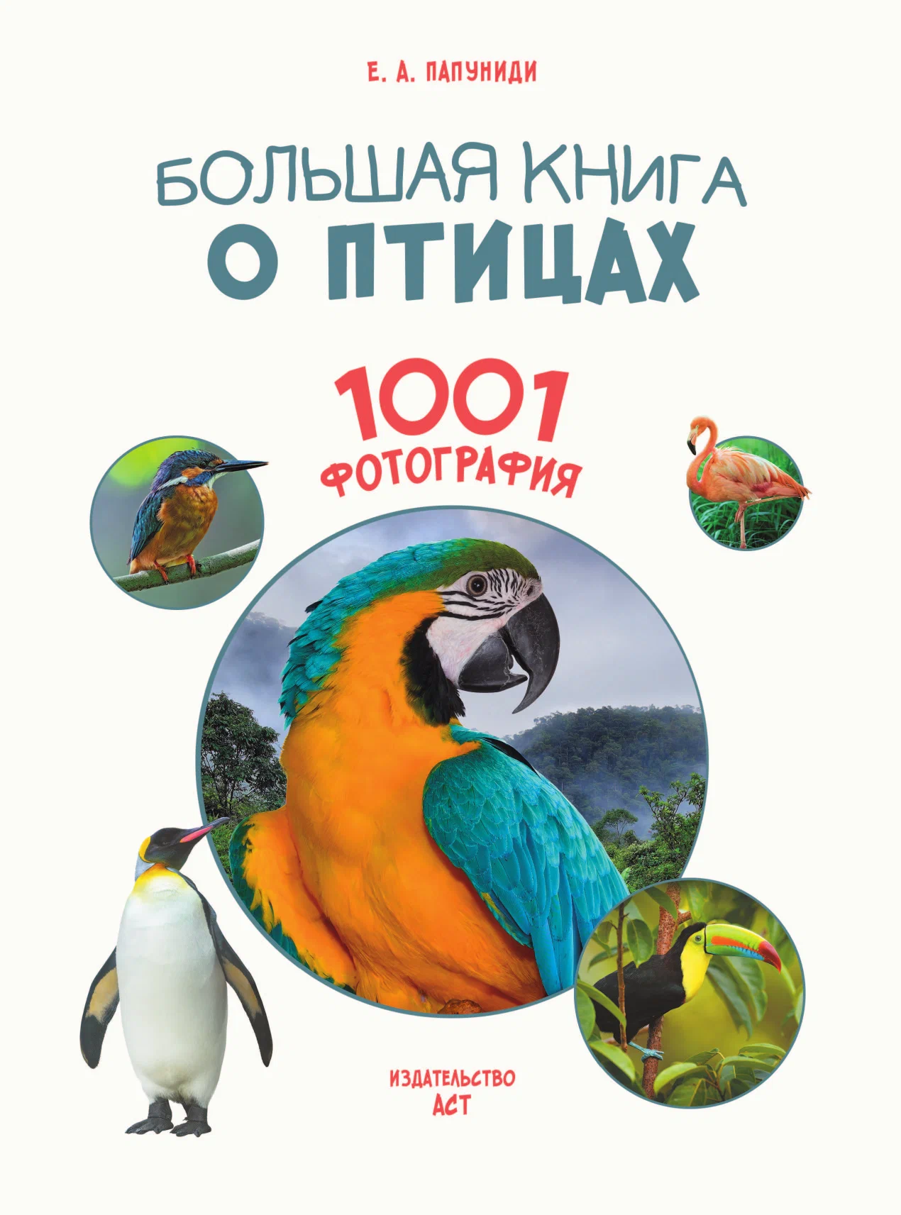 Большая книга о птицах. 1001 фотография