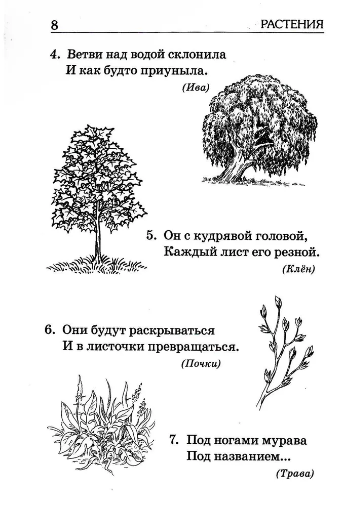 Отгадай-ка. Стихотворные загадки для детей 4-7 лет