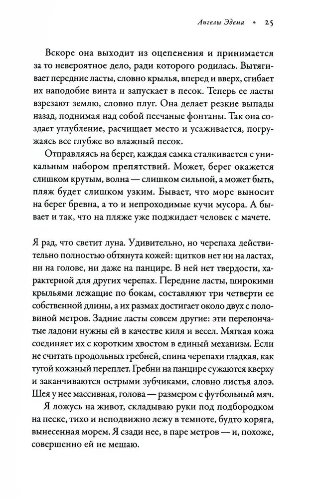 В погоне за черепахой. Путешествие длиной в 200 миллионов лет